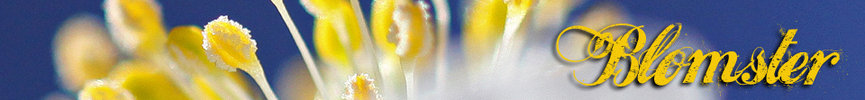 Blomster