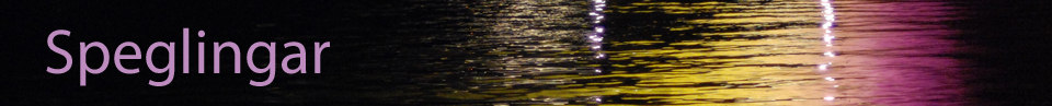 Speglingar