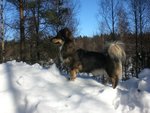 Mimmi