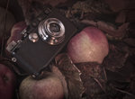 Leica III