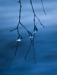 BLU3