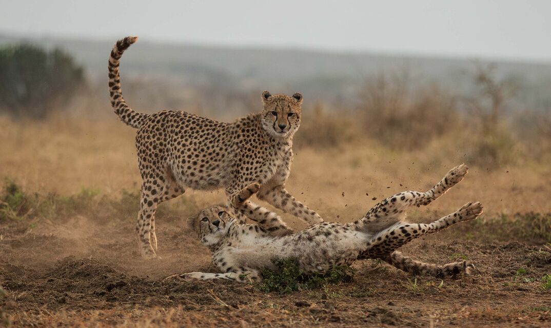 Porno ozini boglash anal gey onlayn Peignoirdagi ayolning fotosurati