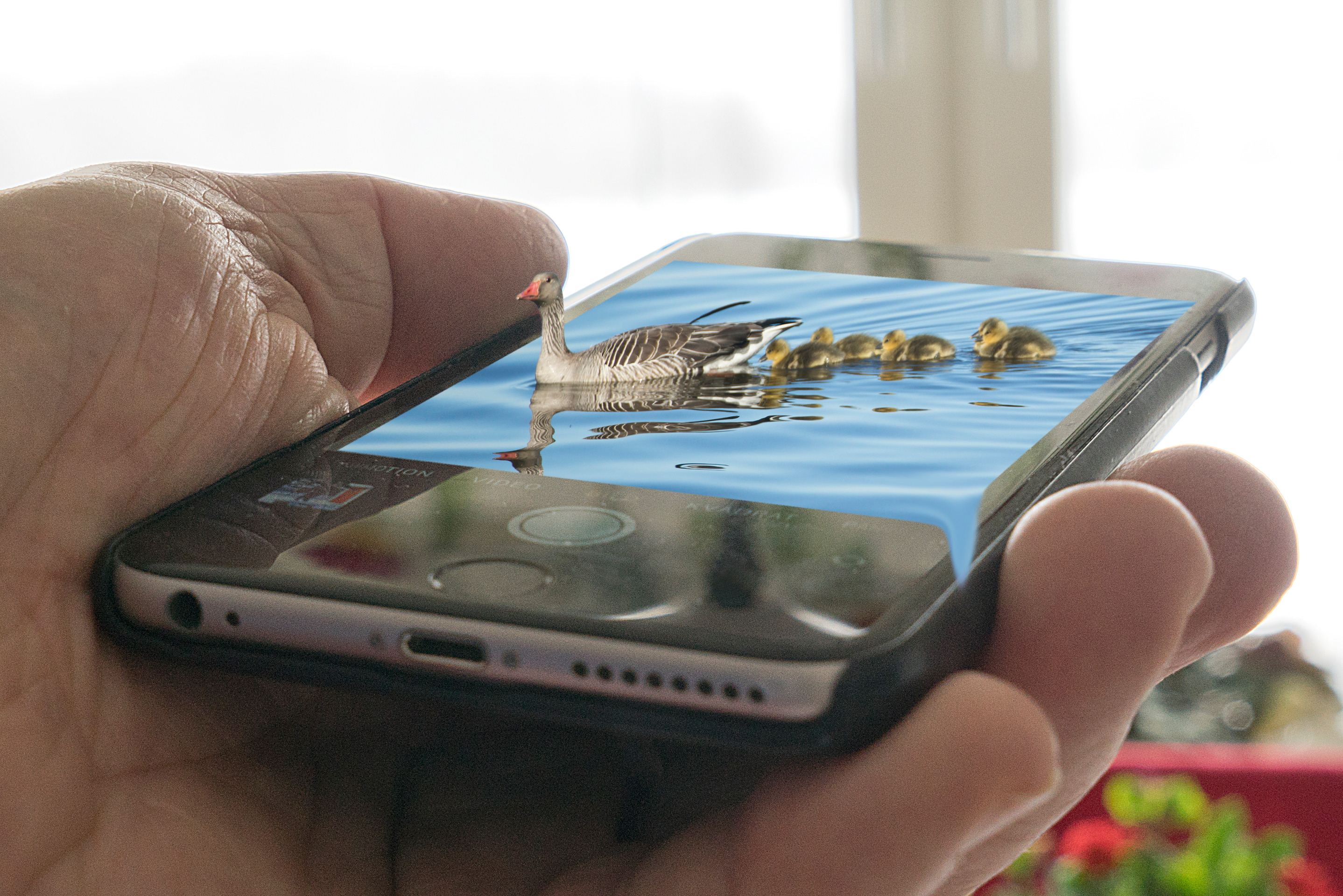 Iphone Med Dubbla Simkort