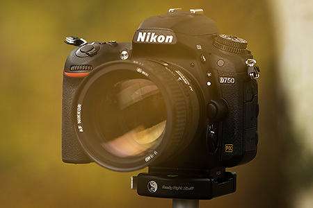 Nikon d750 примеры фотографий