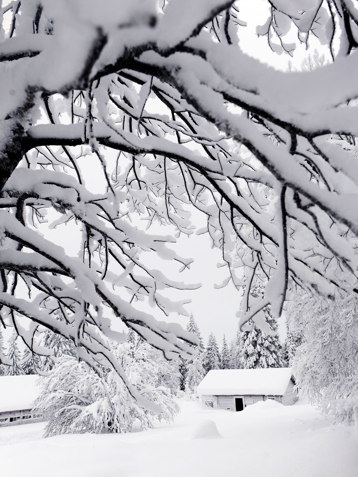 Mera snö - Fotosidan