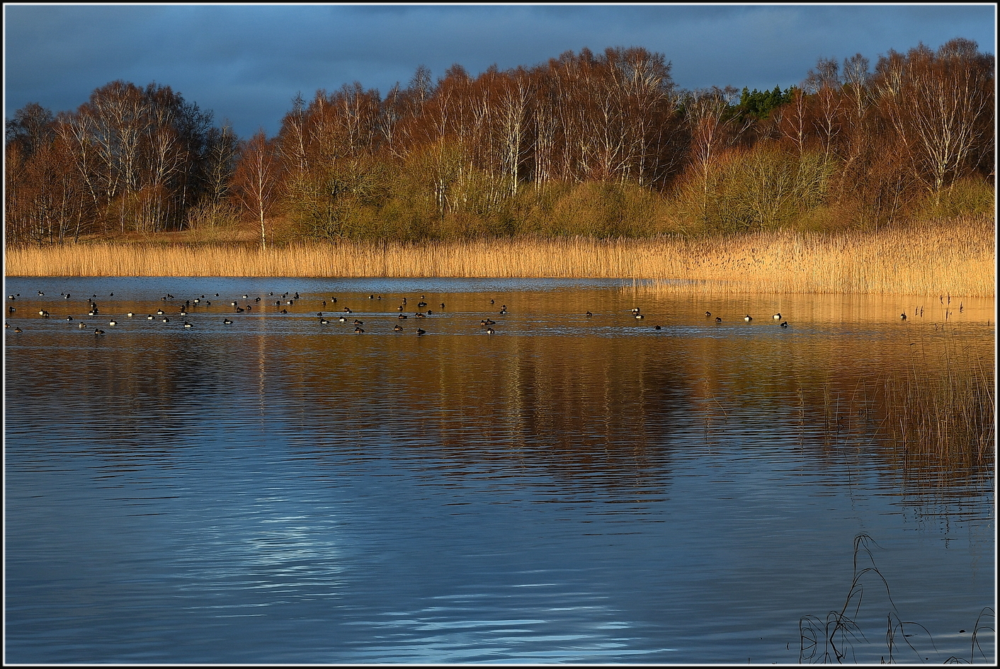 Låg sol.. - Fotosidan