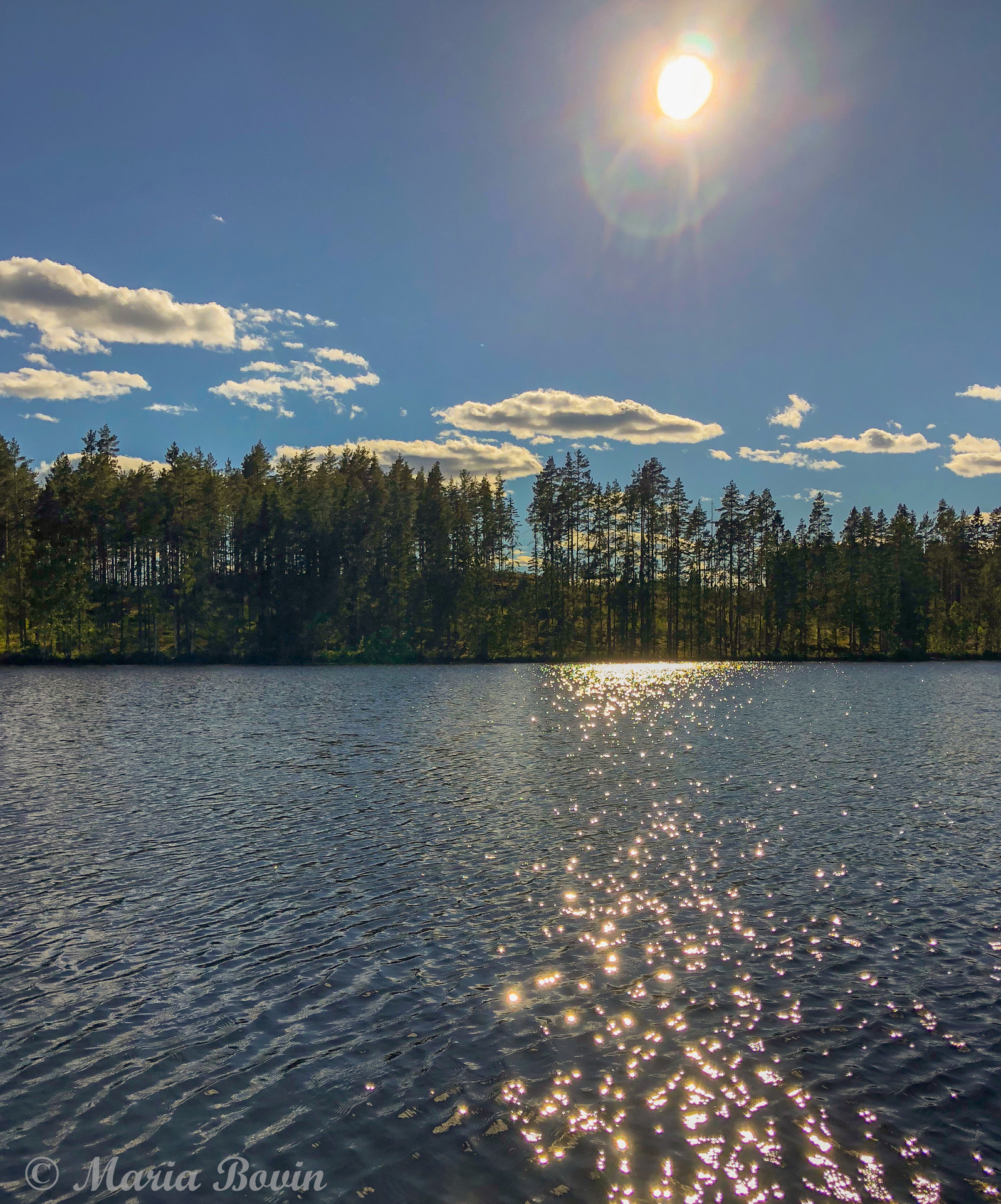 2572 Landet Utom Sig Har Sommar Fotosidan