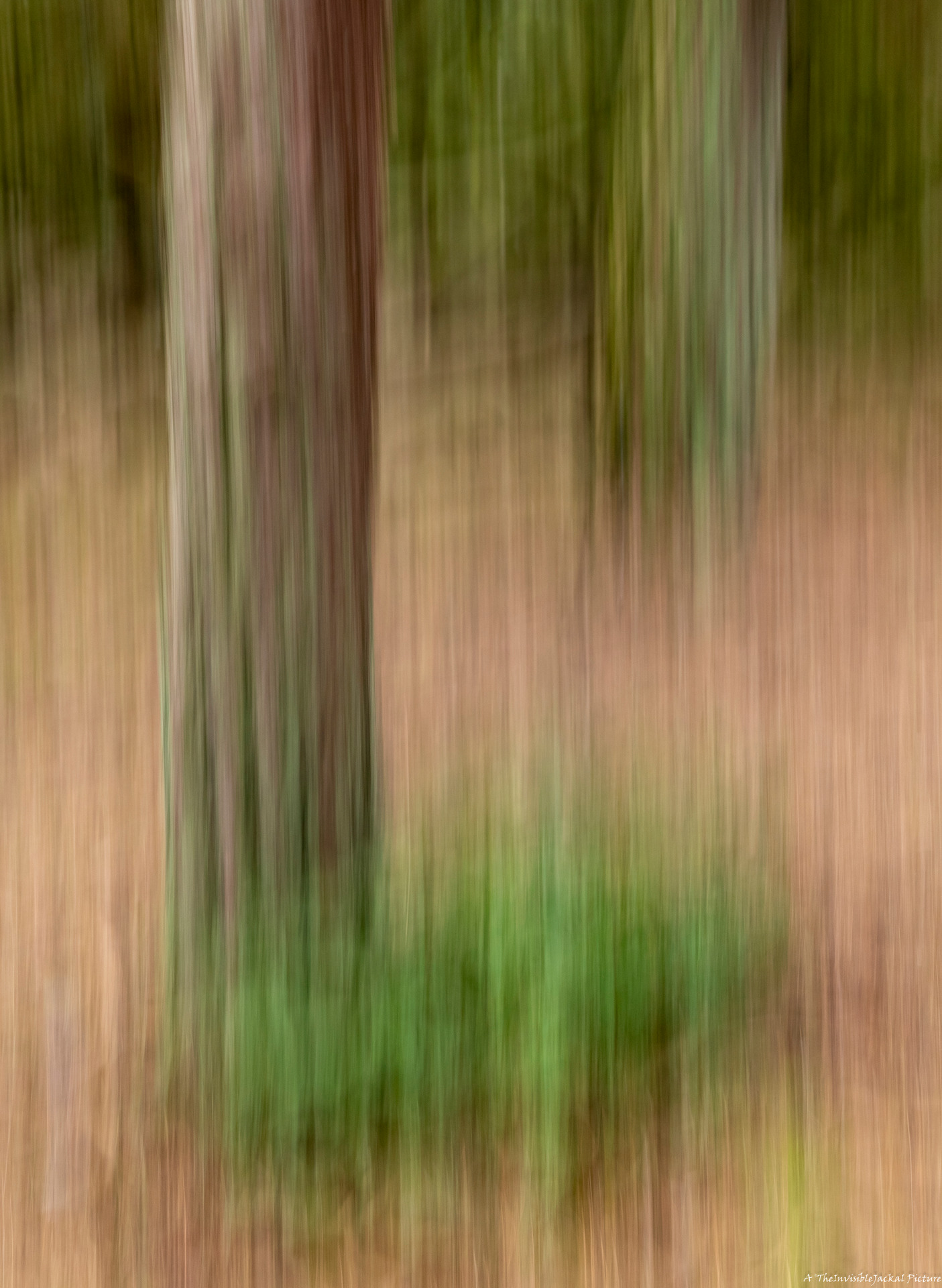 Shake, rattle and camera Fotosidan