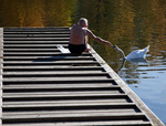 Mannen och svanen