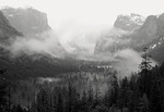Yosemite Valley View Vinter