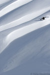 snow-wave