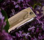 Munspel p&aring; syren