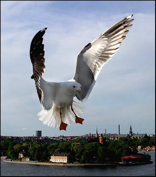 Visa medlem - Jesper K - Fotosidan