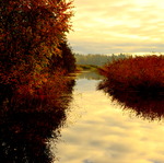 Höst vid bryggan