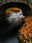 Autumn Bridge