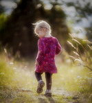 Minne fr&aring;n en sommarkv&auml;ll