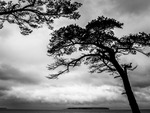 Ekstakusten