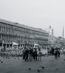 venedig