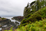 Ucluelet