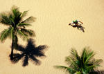 Ipanema biker