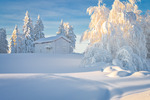 Vinter i Piteå