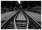 Traintrack-sv/v