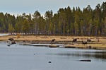 Vårkväll i viken