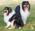 Pustar ut lite efter en l&aring;ngrush