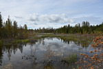 TYSJÖARNA  Jämtland  Förtrollande natur