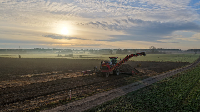 Holmer Felis 3 EVO i arbete