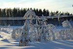 Vinter