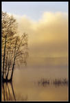 Morgonljus vid Finnsjön