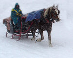 Miljövänligt transportmedel