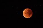 The bloodmoon