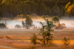 Höstmorgon över Vällinge