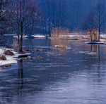 #3617868 R&ouml;nne&aring;