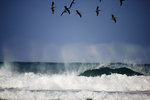 waves rolling in and pelicans flying in the sky