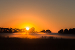 Så torkar solen upp morgondiset