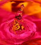 An old man ~ alias Kronblom