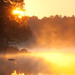 Sommarmorgon vid Lunkeviken