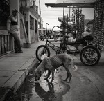 Cyckeltaxif&ouml;rare