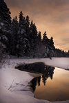 Vintermorgon vid den lilla sjön