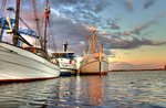 Fishing-Boats