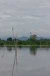 Stilla morgon i Uda Walawe Nationalpark, Sri Lanka