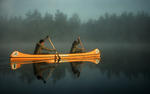 Gul kanot
