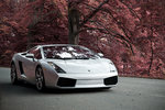 Infrared Gallardo