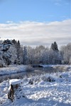 Vinter vid kanalen