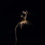 Med ryggen mot vinden