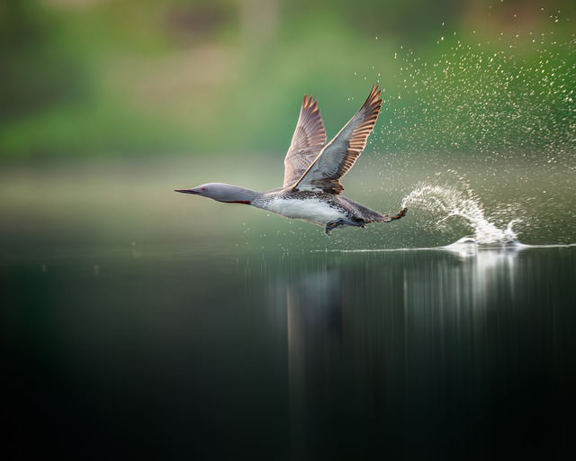 Lift off