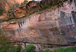 Weeping Rock